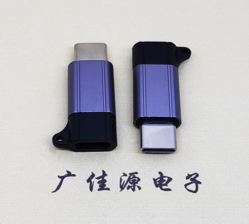 呼和浩特Type-C母转Type-C公 USB3.1 PD100W快冲接口